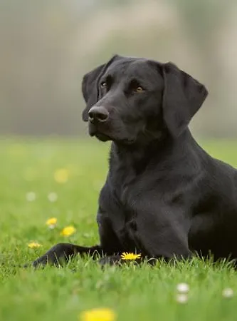 Landhaus Brugger דירה *